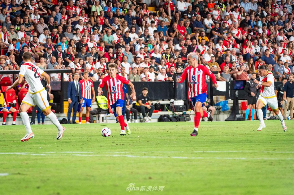 下了汗马功 下了汗马功